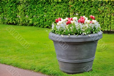 basket of spring flowers in garden
