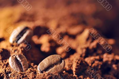 Macro coffee beans and ground coffee