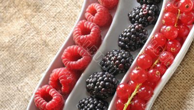 fresh berries