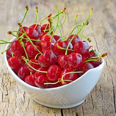 cherry bowl shoot in studio