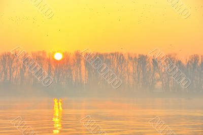 Sunrise on Danube river