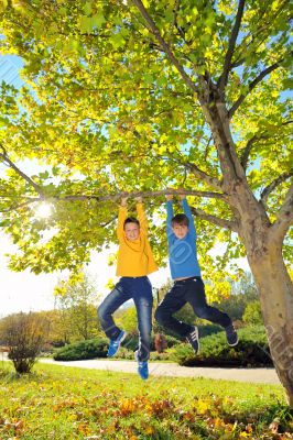 boys hanging from branch of tree