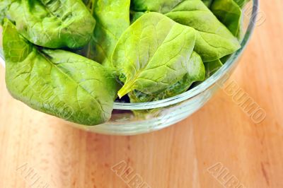 spinach salad