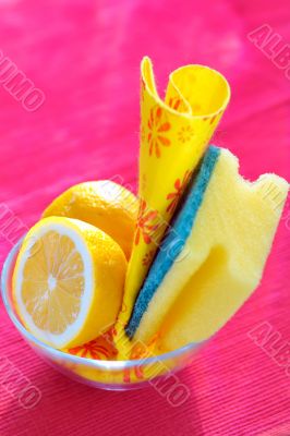 Natural Cleaning with Sponges