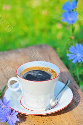 chicory coffee