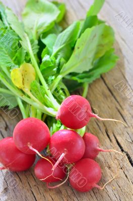 Small garden radish isolated on old wooden background