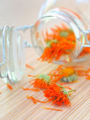 marigold herbal tea