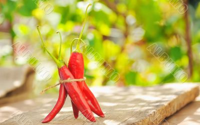 hot chili peppers