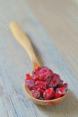 spoon of dried cranberries