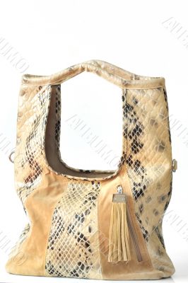 lady handbag 