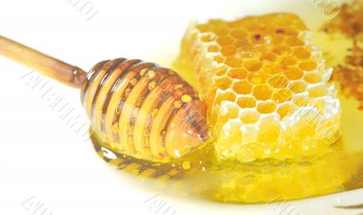 Natural Honeycomb 