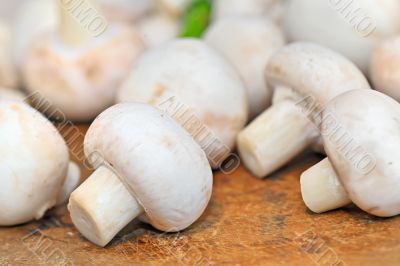 closeup of raw flat mushrooms 