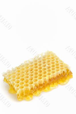 Honeycomb isolated on white