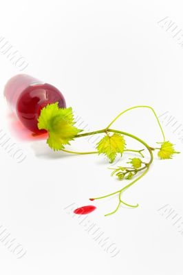 wine bottle