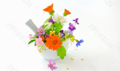 Mortar with herbs