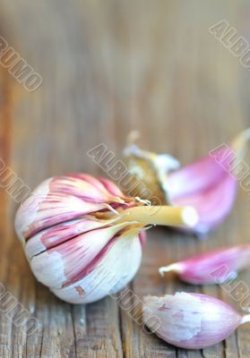 young garlics on wooden background