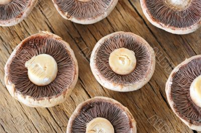 brown mushrooms