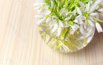 Snowdrops in a vase