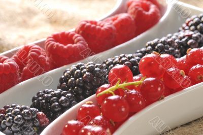 fresh berries