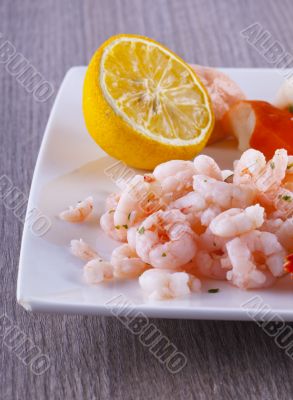 Shrimps