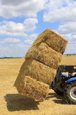 haystack