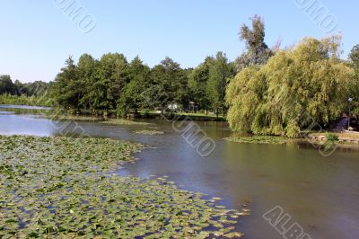 a natural river