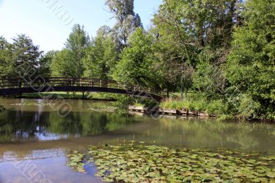 a river and bridge