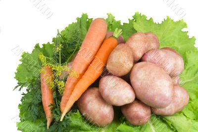 Potatoes, carrots, green salad on a white background.