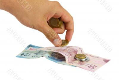 Cash