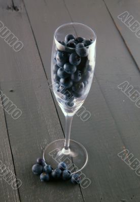 Blueberries