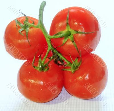  tomatoes