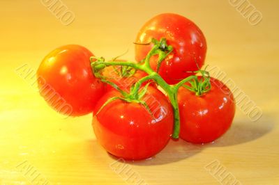  tomatoes