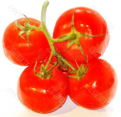  tomatoes