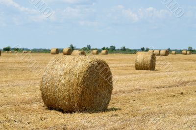 Haystack on field