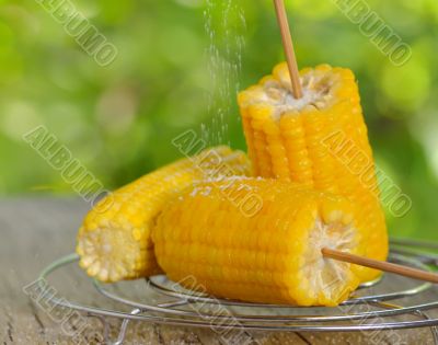 corn boiled 
