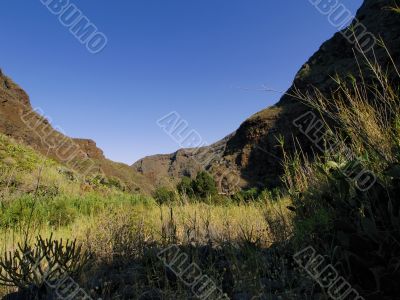 Guayadeque Gully