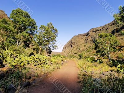 Guayadeque Gully
