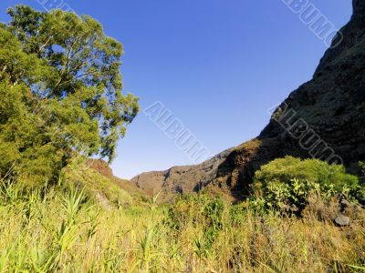 Guayadeque Gully