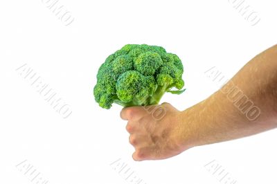 Fresh Broccoli