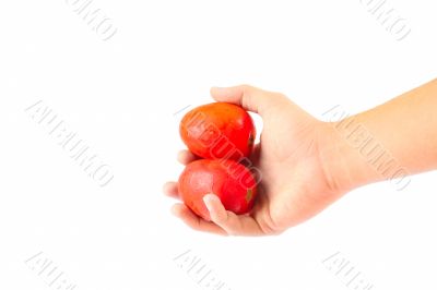 Fresh Tomatoes