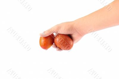 Fresh Tomatoes