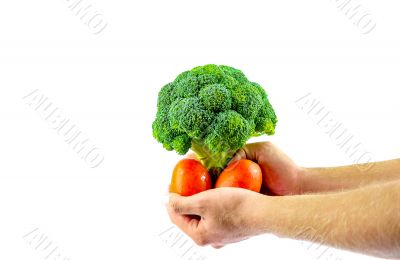Fresh Vegetables