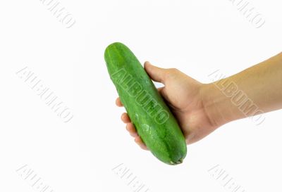 Fresh Cucumber