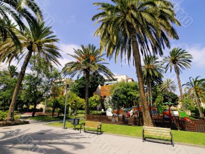 Park with palm trees.