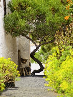 Agricola El Patio Museum, Tiagua, Lanzarote
