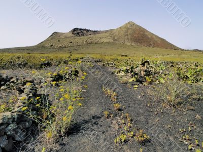 Corona Volcano on Lanzarote