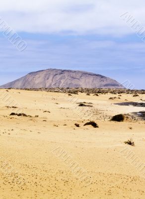Graciosa Island
