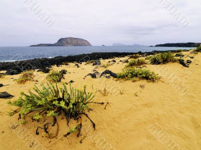 Graciosa Island