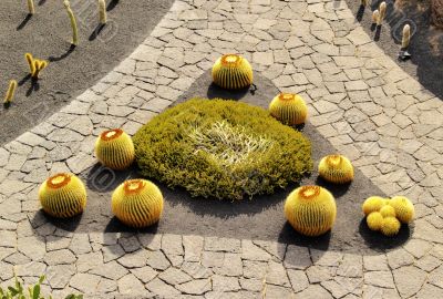 Cactus Garden on Lanzarote