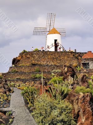 Cactus Garden on Lanzarote
